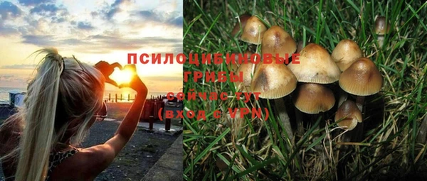 бутират Няндома