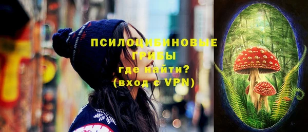 ECSTASY Нязепетровск