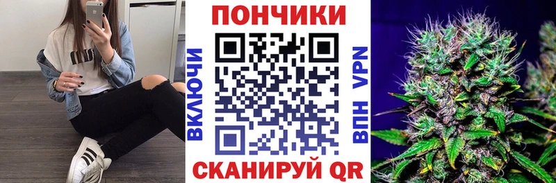 Купить закладки  Вятские Поляны  Бошки марихуана ГИДРОПОН 